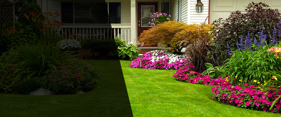Rosemead Landscapers