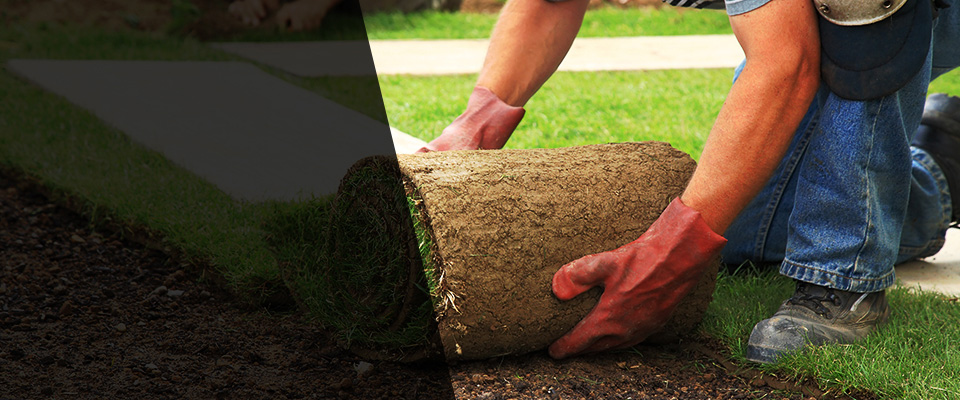 Rosemead Landscapers